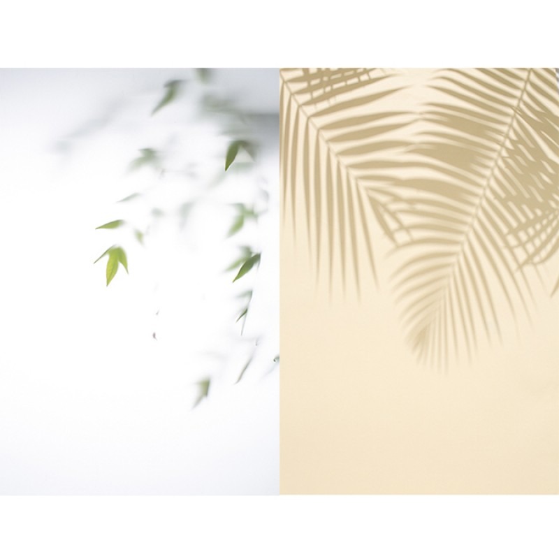 Buy Tree Shadow Double Sided Product Photography Background In Pakistan