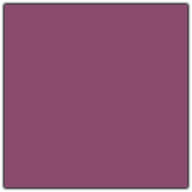 Dark Magenta Seamless Backdrop