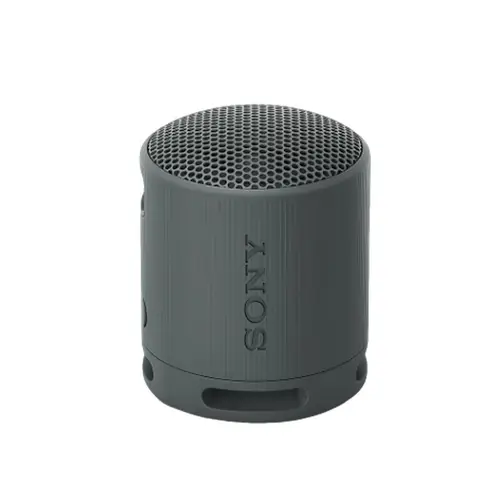 Sony SRS-XB100 Wireless Portable Speaker